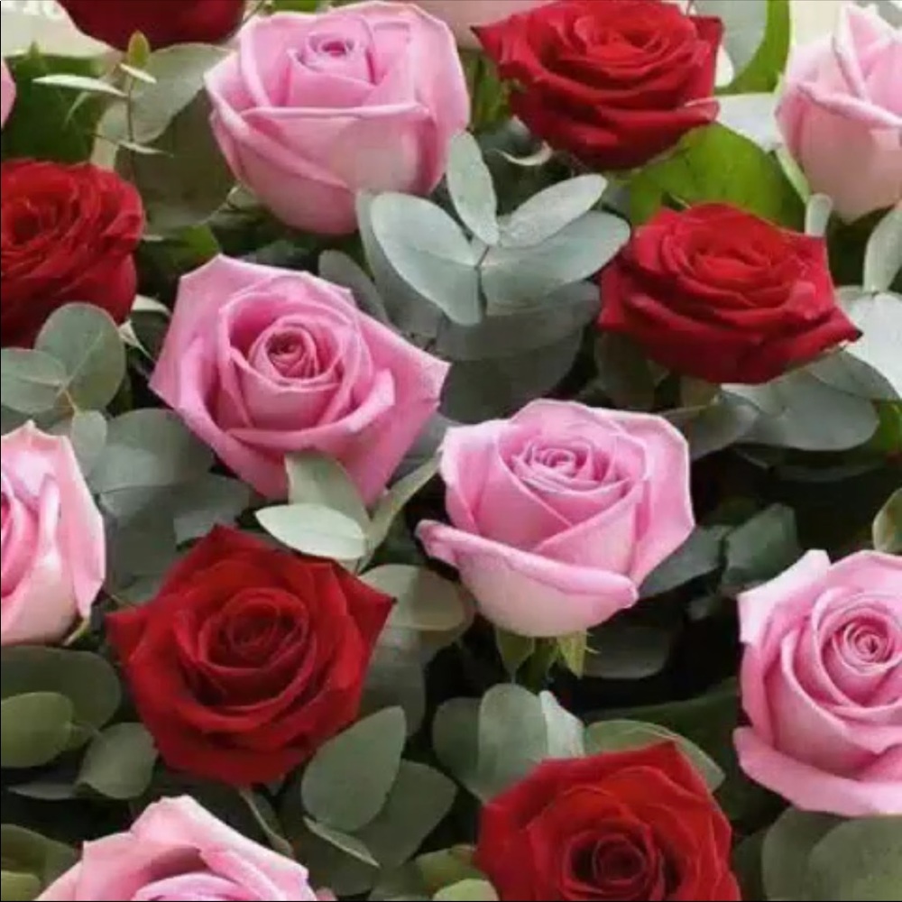 Meet your Posher, Hana